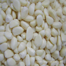 factory supply 100% Fresh Peeled Garlic with high quality and best price